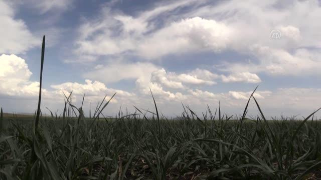 TBMM Tarım Orman ve Köyişleri Komisyonu Başkanı Kılıç: Kuraklığın farkındayız