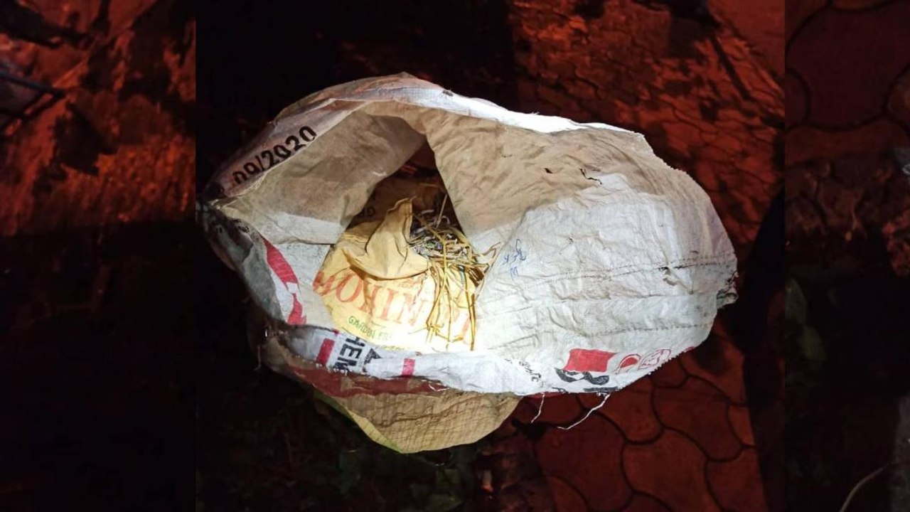 51 crude bombs recovered near BJP office in Kol...