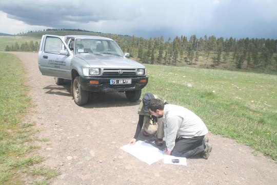 KuzeyDoğa Derneği Bilim Koordinatörü Çoban'dan Sarıçam ormanları için ekosistem restorasyonu önerisi