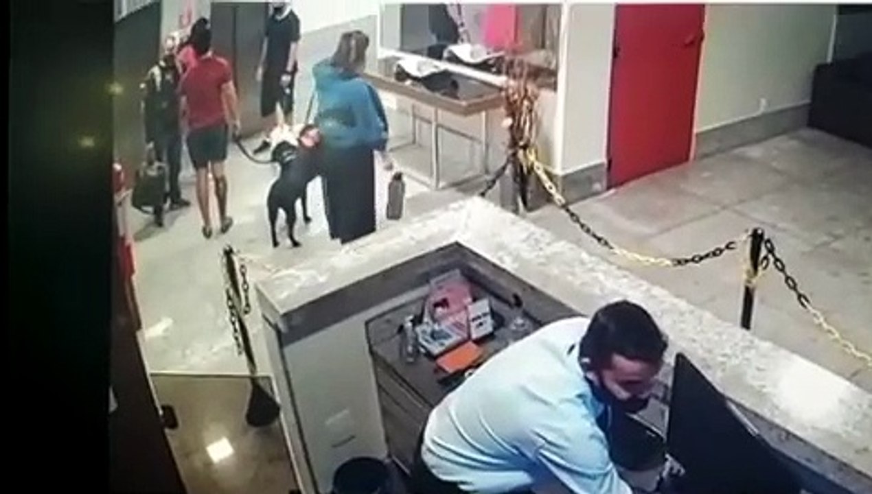 Vídeo: policial briga com vizinho por cão sem focinheira, em Águas Claras