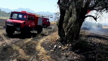 Anız yangınında 9 koyun ve 10 tavuk telef oldu