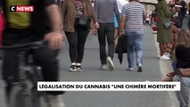 Vers une légalisation du cannabis ? Les Français sont partagés