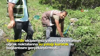 Bakan Pakdemirli’den “Ayılar halinden memnun” paylaşımı