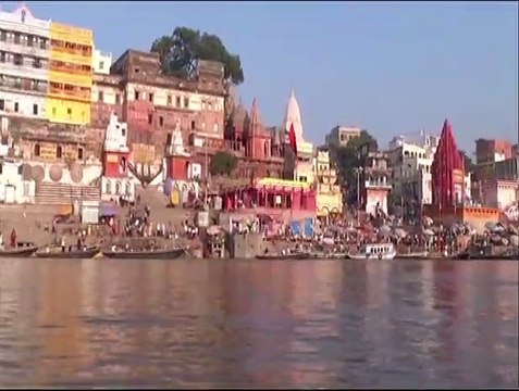 El Origen 05JUNIO2021 | Urumaco y sus distintas especies de cocodrilos