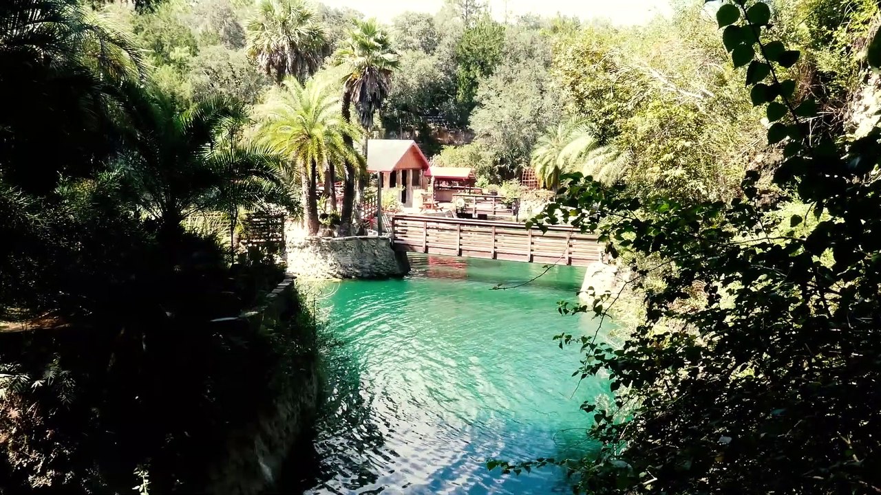 Cedar Lakes Woods & Gardens (Williston, FL) - Travel VLOG Video Tour & Review