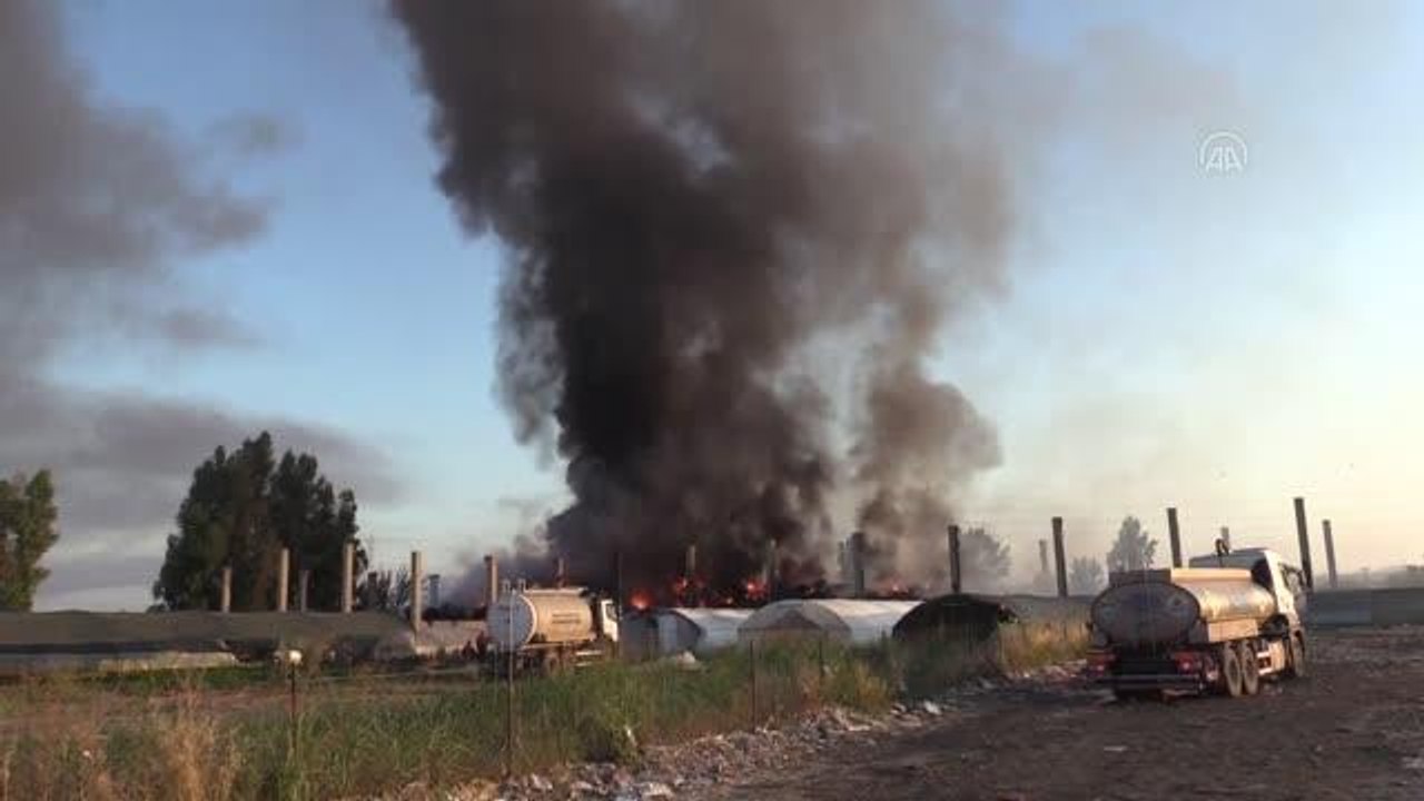 Son dakika gündem: Geri dönüşüm tesisinin bahçesinde çıkan yangına müdahale ediliyor