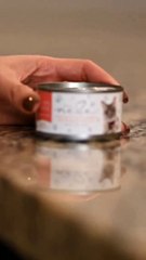 Breakfast for cute cat | Funny Cat | Baby Cat | Viral Cat | Short #2 |