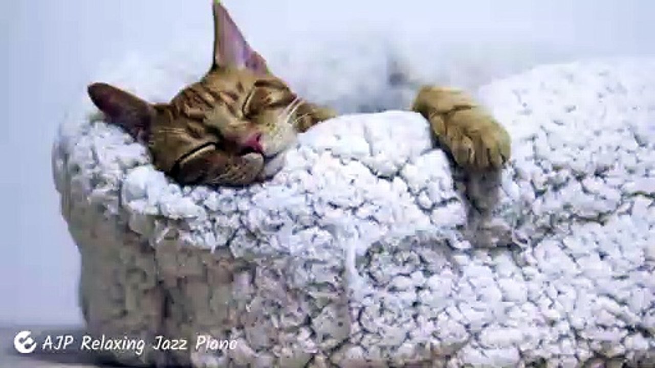 Melodic Lullaby    by AJP Relaxing Jazz Piano