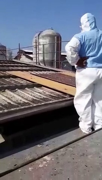 Ces ouvriers découvrent quelque chose d'incroyable en désamiantant un toit