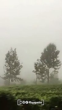 netru thevai ellai song , travel videos valparai whatsapp status tamil natural video