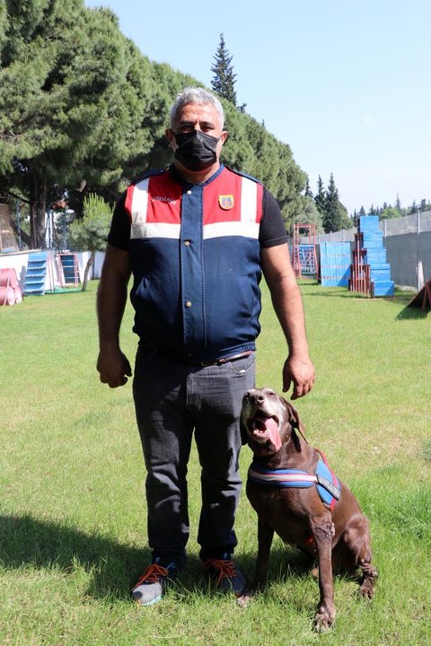 Dedektör köpek Volta'nın "emekliliği" eğitmeni jandarma personelini üzdü