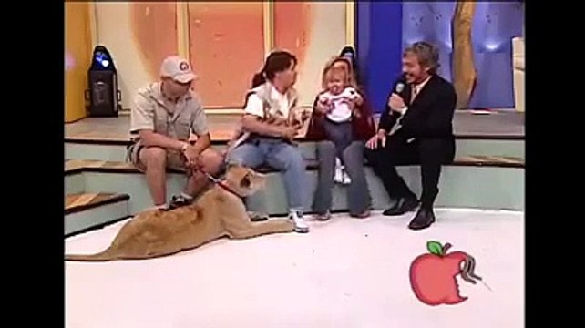 Aslan canlı yayında çocuğa saldırdı, annesi gülerek izledi!