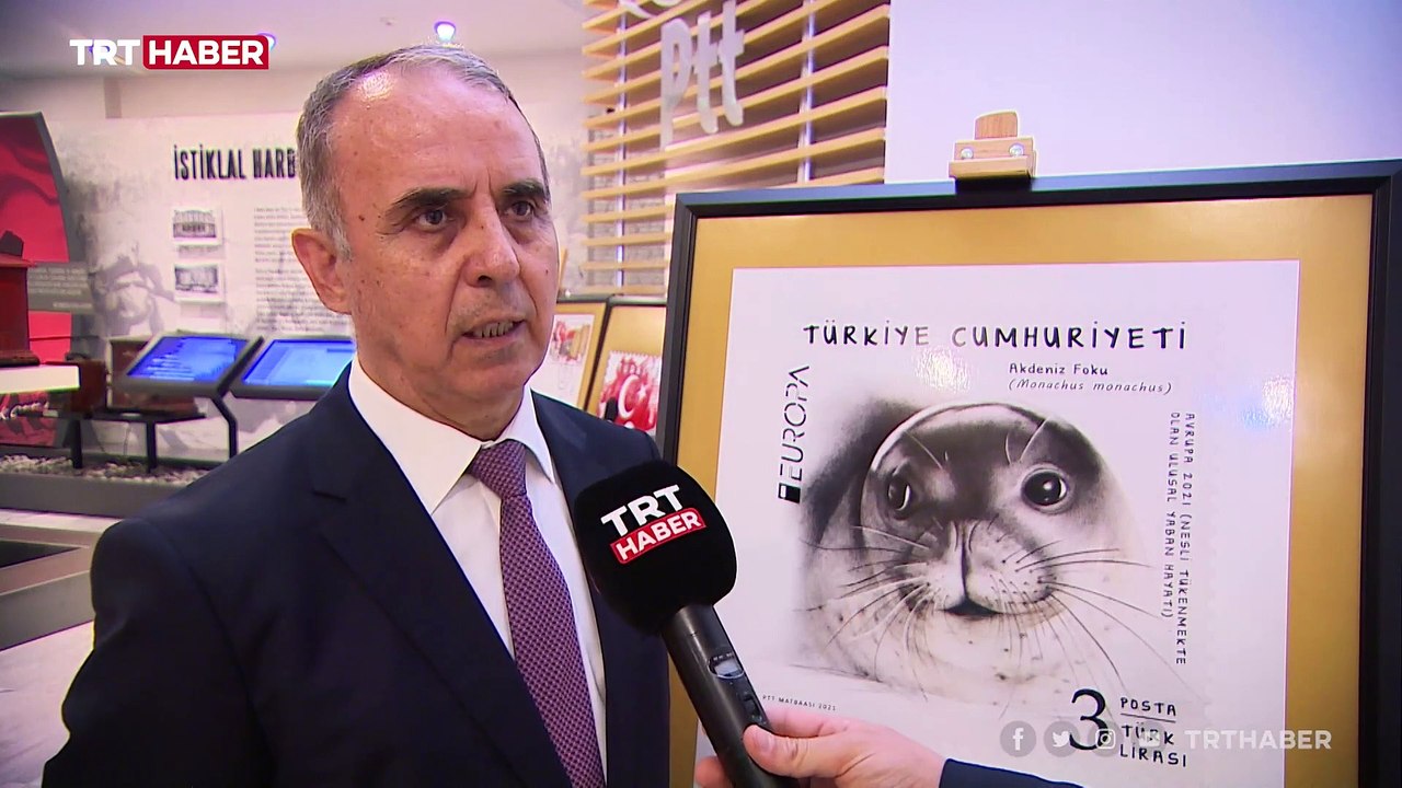 Avrupa Pulu Yarışması'nda Türkiye'yi Akdeniz foku Badem temsil edecek