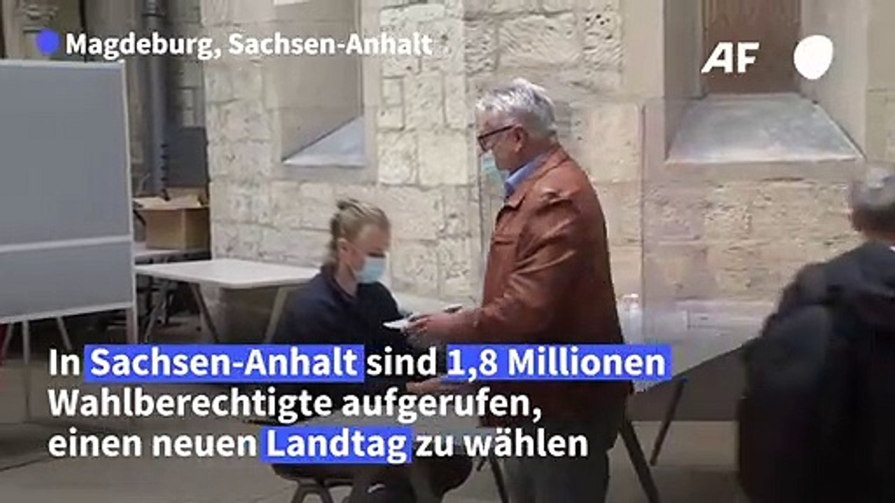 Sachsen-Anhalt-Wahl: "Wir wollen zeigen, dass populistische Parteien keine Chance haben"