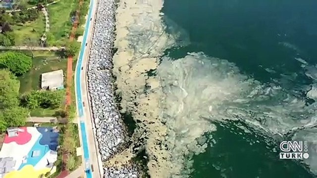 Cumhurbaşkanı Erdoğan: Marmara'yı müsilaj belasından kurtaracağız