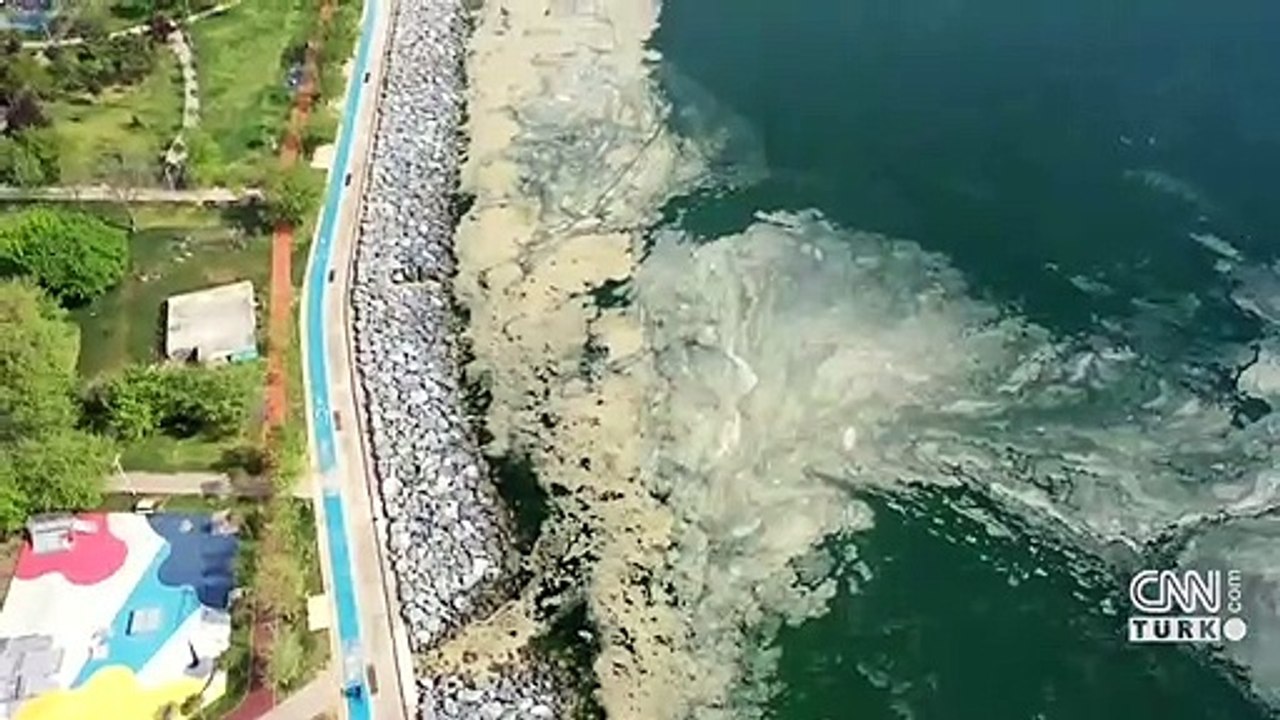 Cumhurbaşkanı Erdoğan: Marmara'yı müsilaj belasından kurtaracağız