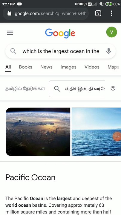 world's largest ocean