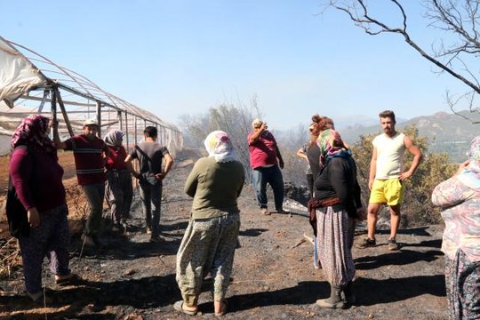 Son dakika haberi... Antalya'daki arazi yangınında seraların naylon örtüleri ve zeytin ağaçları küle döndü