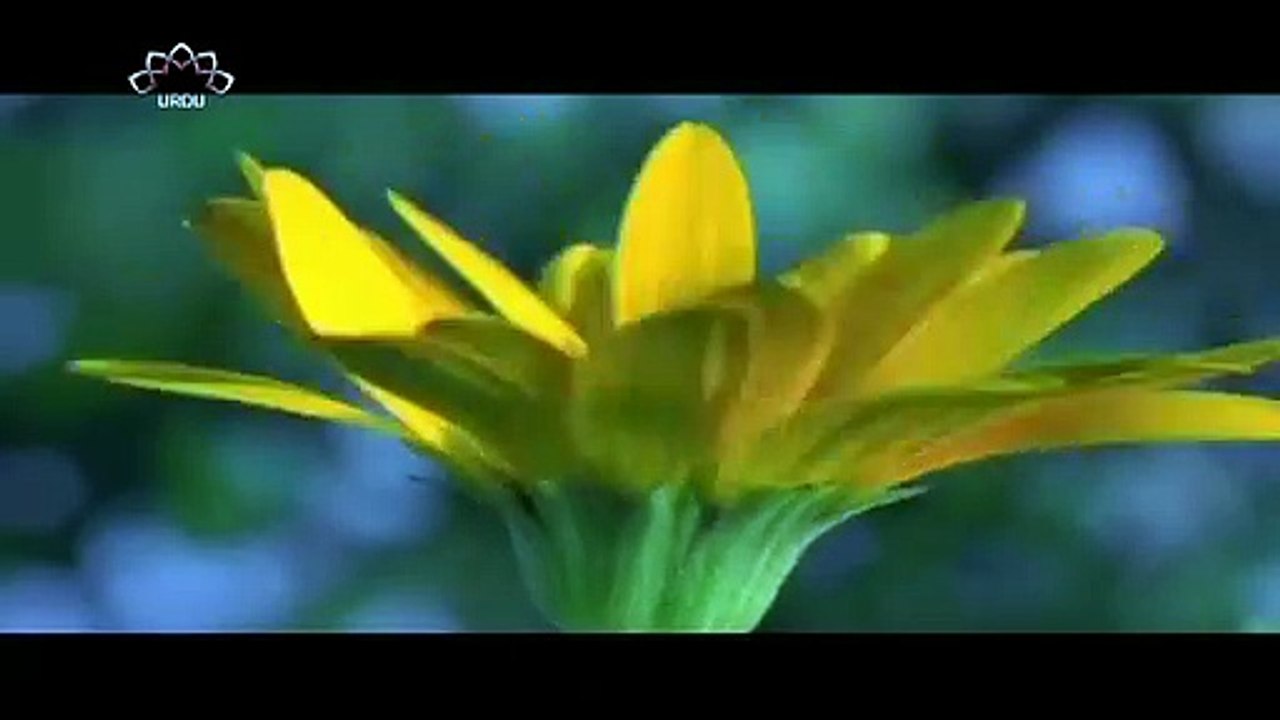 samundar ki hairat 2
