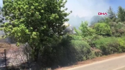 ANTALYA SERİK'TE ORMAN YANGINI