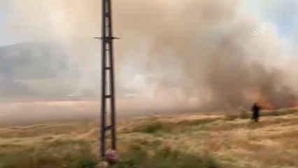 Son dakika haberi: KAHRAMANMARAŞ - Buğday hasadı sırasında çıkan yangın söndürüldü