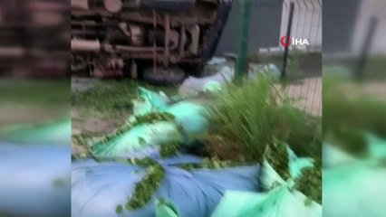 Tatlıcıda otururken ölümden kıl payı böyle kurtuldu