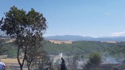 Tarlada çıkan yangın buğday ekili alana zarar verdi