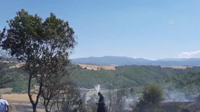 Tarlada çıkan yangın buğday ekili alana zarar verdi