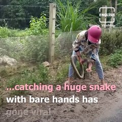 Hair-Raising Video Of Vietnamese Woman Catching A Snake Goes Viral
