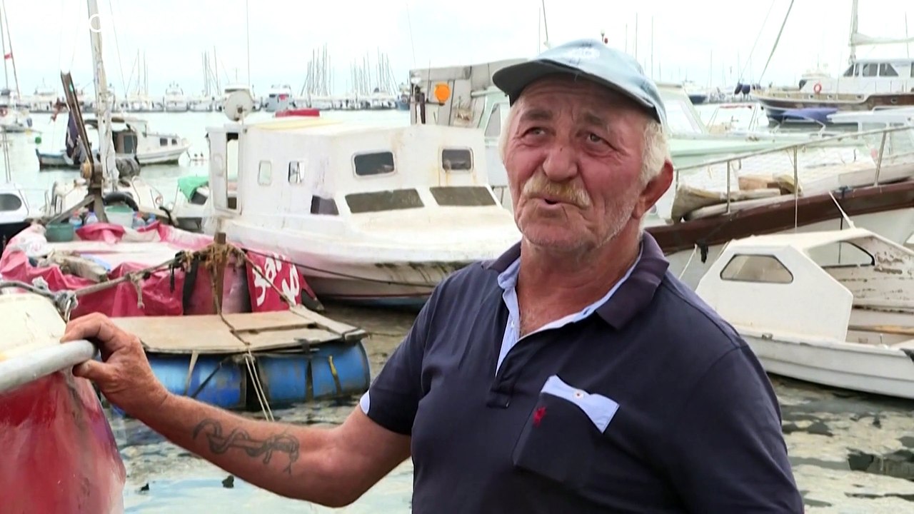 Eklig und ein Riesenproblem für Fischer: Schleim verseucht Marmarameer