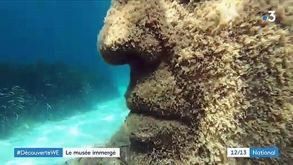 Cannes : un écomusée immergé à visiter en plongée sous-marine