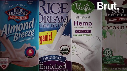 L'impact environnemental des laits végétaux
