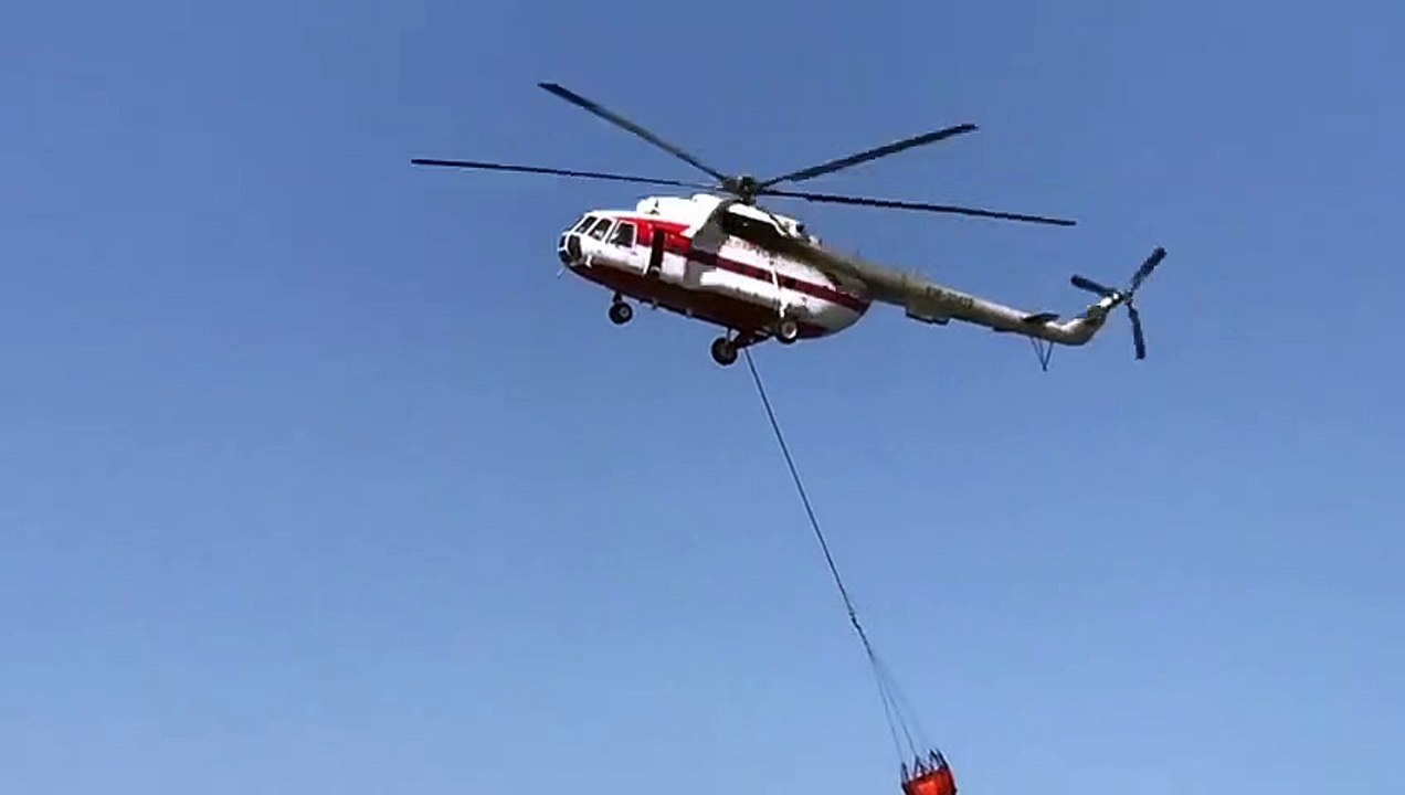 İzmir'de orman yangını