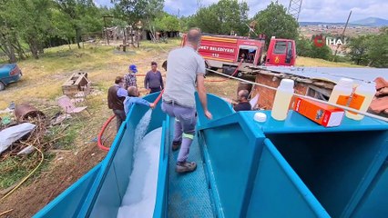 Bu da keçilerin banyosu.. Keçilerin banyo yaptığı anlar sevimli görüntüler oluşturdu