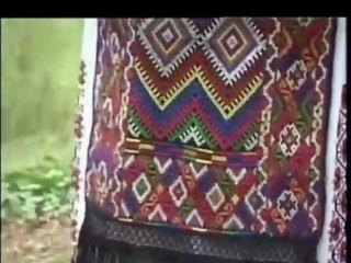 Georgeta Nichifor - Am venit din departare