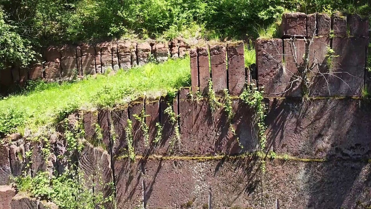 Close-up -  Die Faszination liegt im Detail