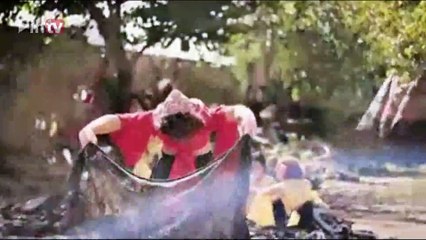 Ararat Dance Ensemble-Gypsy Dance