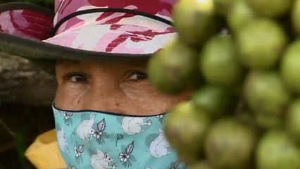 En el campo la comida sabe distinto y hay menos estrés: campesinos colombianos