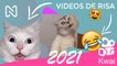 VIDEOS DE RISA, SHITPOST, Si Te RÍES PIERDES Nivel: KWAI JUNIO 2021.