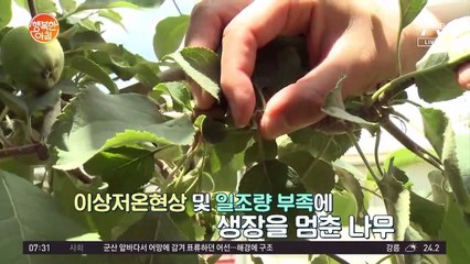 치솟는 전셋값, "전세 보증금 떼일까" 보증보험 가입 거절 사례 증가!