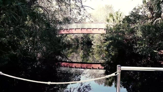 Scenic Boat Ride at Homosassa Springs Wildlife State Park - Travel VLOG Video
