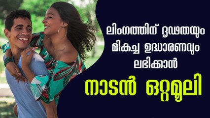 Benefits of Camphor Oil and Olive Oil | Mlayalam Health Tips