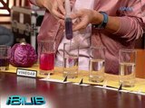 iBilib: Performing pH indicator experiment using red cabbage's juice