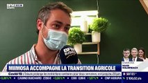 Impact : Mimosa accompagne la transition agricole, par Cyrielle Hariel - 07/06