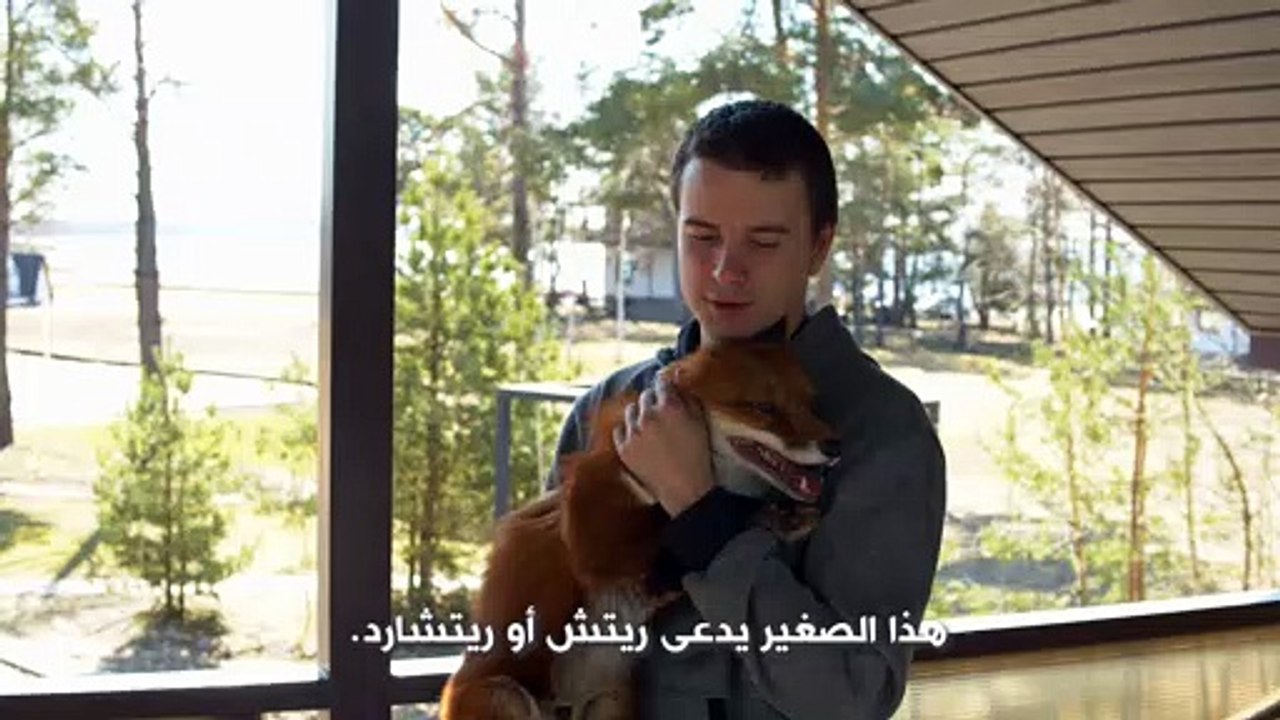 صديقي المفضل: الثعلب