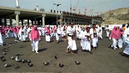 Dana Haji Jemaah yang Gagal Berangkat Dipastikan Tak Dipakai untuk Infrastruktur