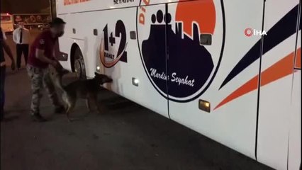 Son dakika haberleri: Adana'da kaçakçılık operasyonu: 8 kişi adliyeye sevk edildi