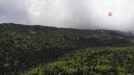 Tarzan'ın evi halen ilk günkü gibi