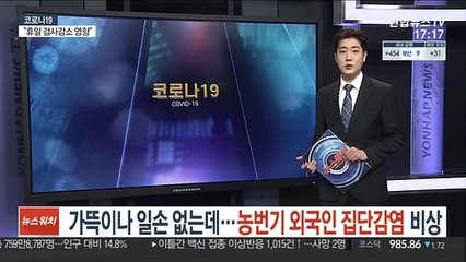 가뜩이나 일손 부족한데…농번기 외국인 집단감염 비상
