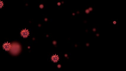 Coronavirus; un nouveau comité de concertation ce vendredi 11 juin